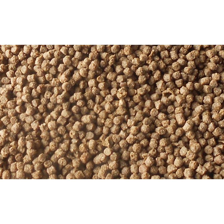 Burtons Health Fish Food | Burtons