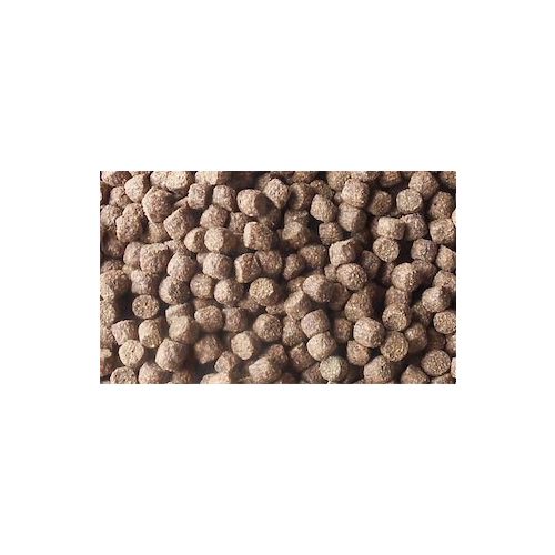 Burtons Growth Fish Food