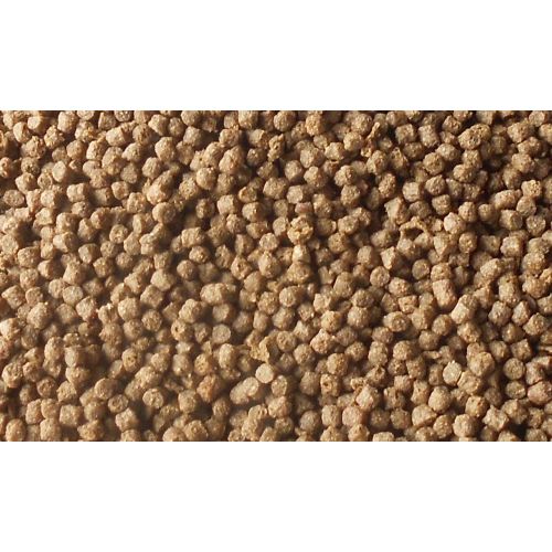 Burtons Health Fish Food