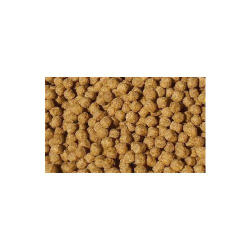 Burtons Wheatgerm Fish Food